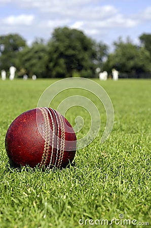 Cricket Ball & Players