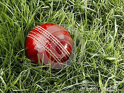 Cricket Ball