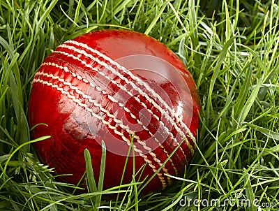 Cricket Ball