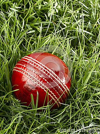 Cricket Ball