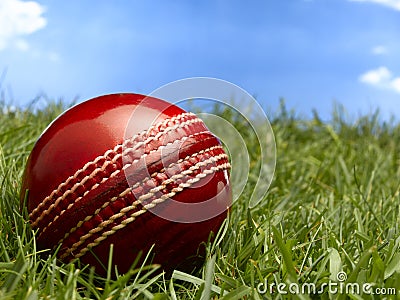 Cricket Ball