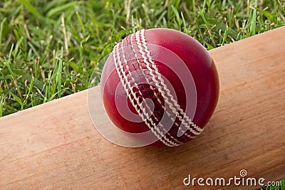 Cricket bat and ball