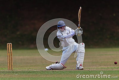 Cricket Batsman Drives Ball