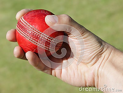 Cricket bowler with ball in hand