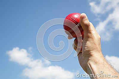 Cricket bowler with ball in hand