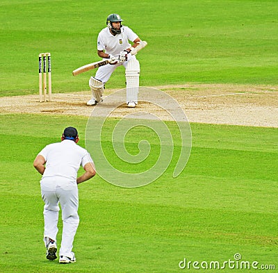 Cricket at The Oval