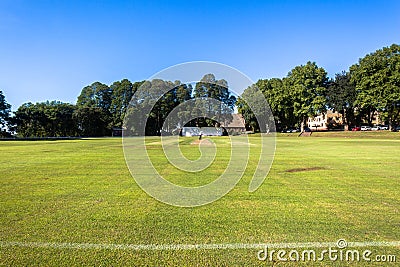 Cricket Pitch Wickets Game