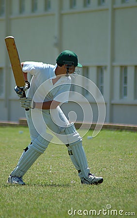 Cricket player