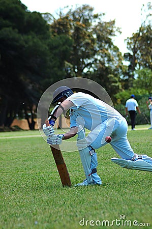 Cricket player