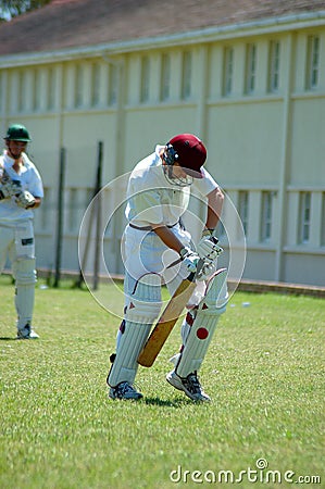 Cricket player