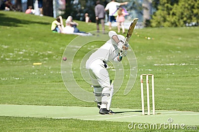 Cricket Player Batsman