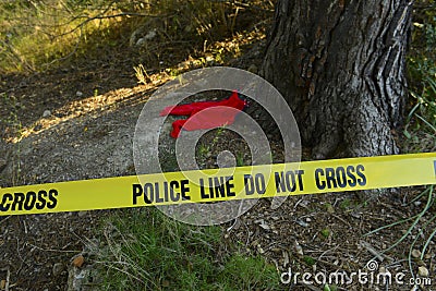 Crime scene: Police line do not cross tape