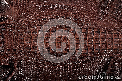 Crocodile leather