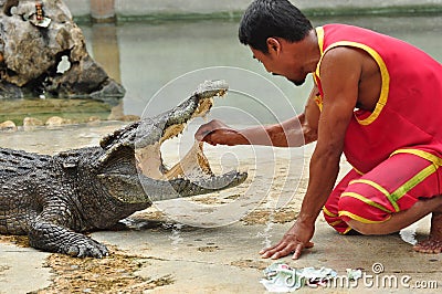 Crocodile show in thailand
