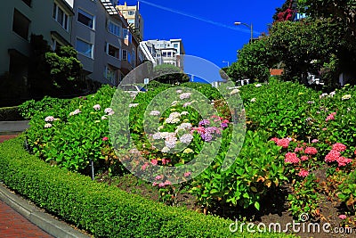 Crooked Street Gardens