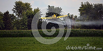 Crop Duster Sprays Field