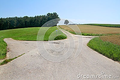 Crossroad in fields