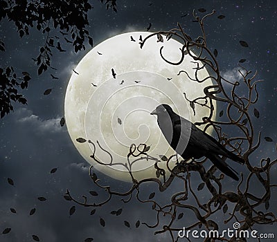 Crow and moon