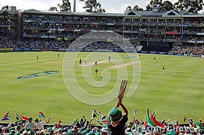 Crowd in Cricket Stadium