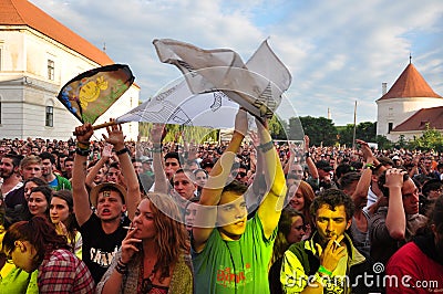 Crowd of partying people during a concert