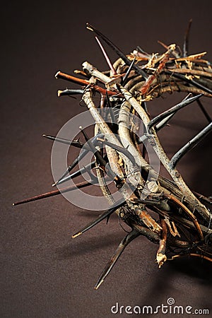 Crown of thorns