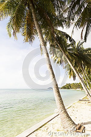 Crystal blue clear water and palms