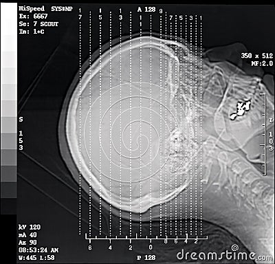 download entwicklung paralleler betriebssysteme