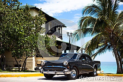 Cuba black american classic car under Palms