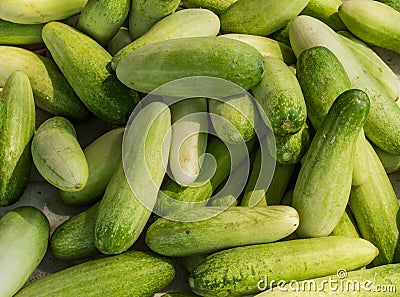 Cucumber background