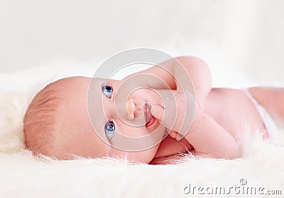 Curious, two weeks old, newborn baby