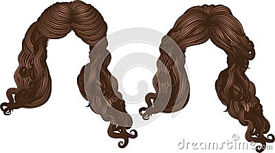 Curly hair of brown color