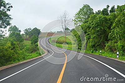 Curve in the road