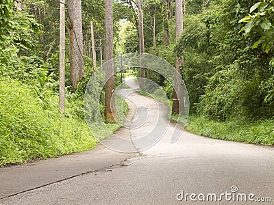 Curved road in forest on hill