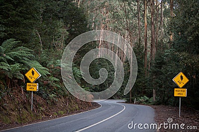 Curved road with two road signs, journey