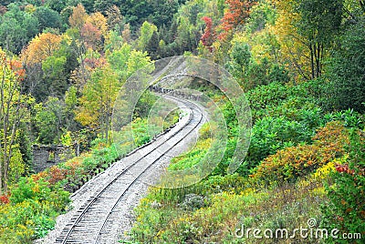 Curving railway tracks in forest