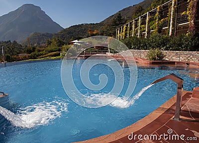 Custom swimming pool and vine covered resort