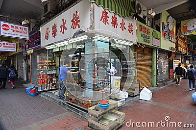 Customers visit fish shop in Hong Kong