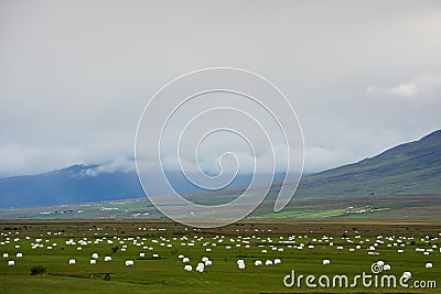 Cut grass is prepared for winter storage on the fields, Iceland