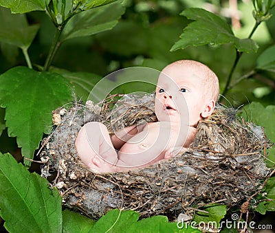 Cute baby in a knit basket wearing a green and white knit hat