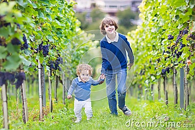 Cute boy and his baby sister in autumn vine yard
