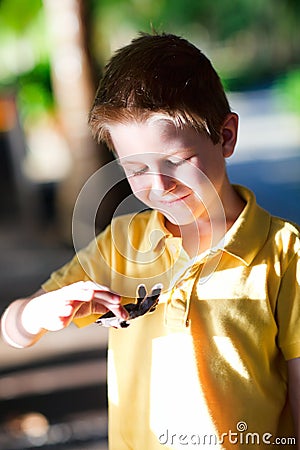 Cute boy holding baby turtle