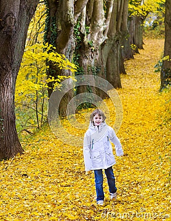 Cute boy in park on road with yellow autumn leafs