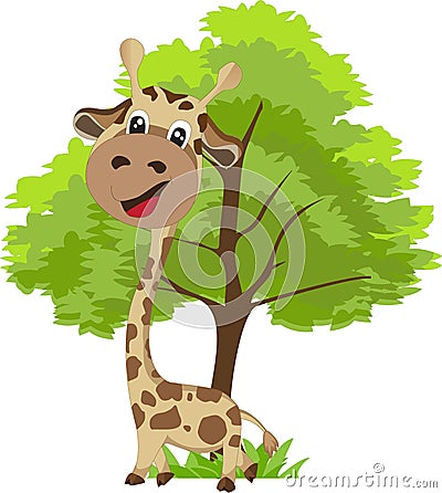 Cute Giraffe and tree