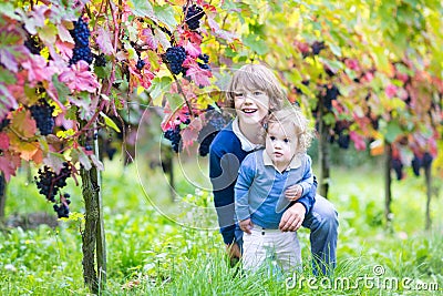 Cute laughing brother and baby sister in vine yard