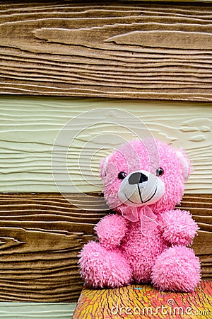 Cute teddy bear have a rest