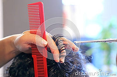 Cutting hair at the beauty salon