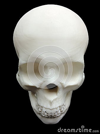 3D打印机做的头骨有黑背景 库存照片 - 图片: 5