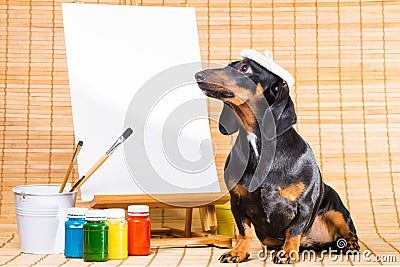 Dachshund in hat of artist near easel with clean canvas