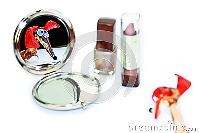  Mirror on Dachshund Looking In The Make Up Mirror Royalty Free Stock Photo