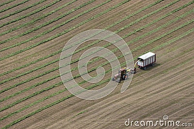 Dairy Farmer Cutting Hay Tractor Field Aerial View